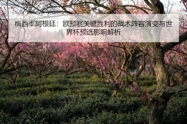 梅西率阿根廷：欧预赛关键胜利的战术阵容演变与世界杯预选影响解析